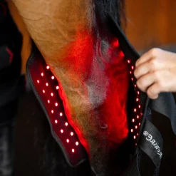 Horseware LED Red Light Therapy Right Hock Boot