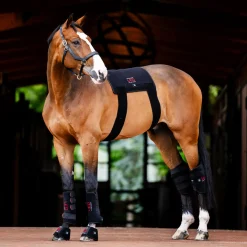 Horseware LED Red Light Therapy Pad