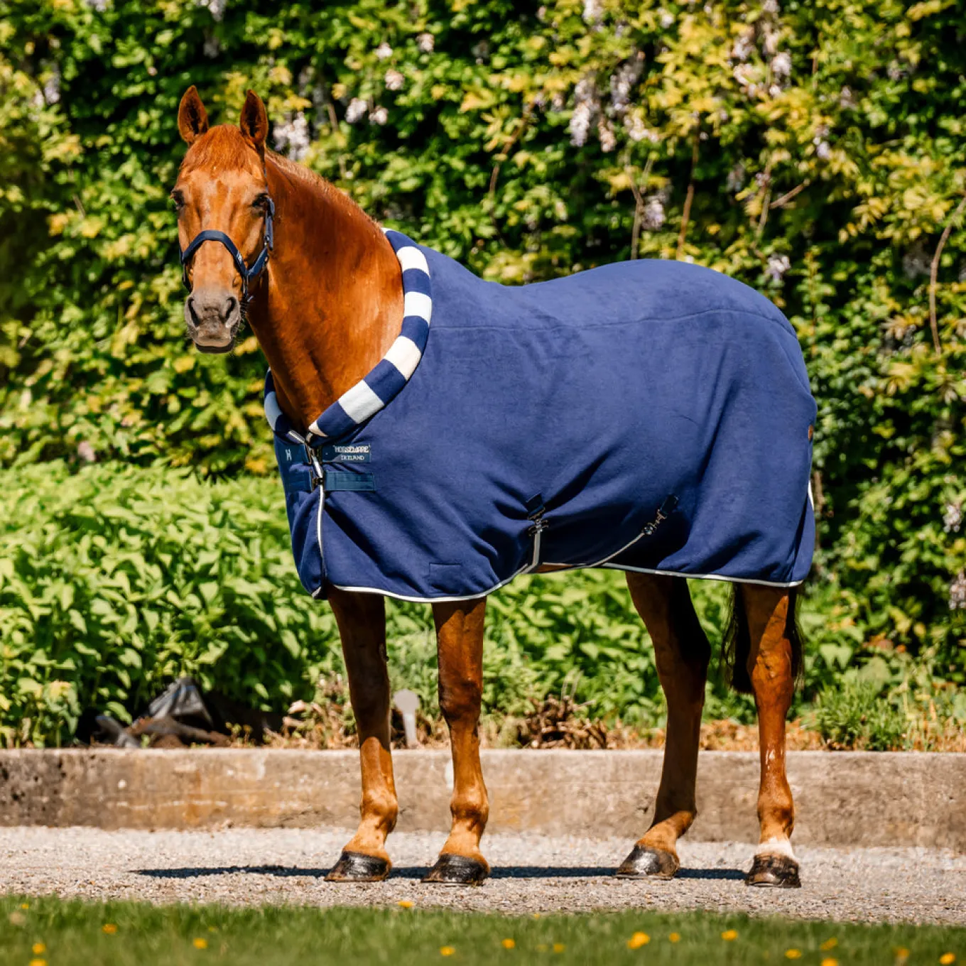 Horseware Newmarket Cozy Fleece Cooler
