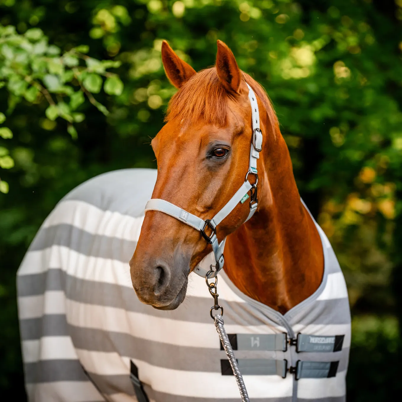 Horseware Newmarket Fleece Cooler