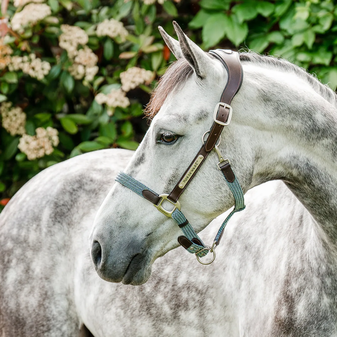 Horseware Signature Braided Breakaway Halter