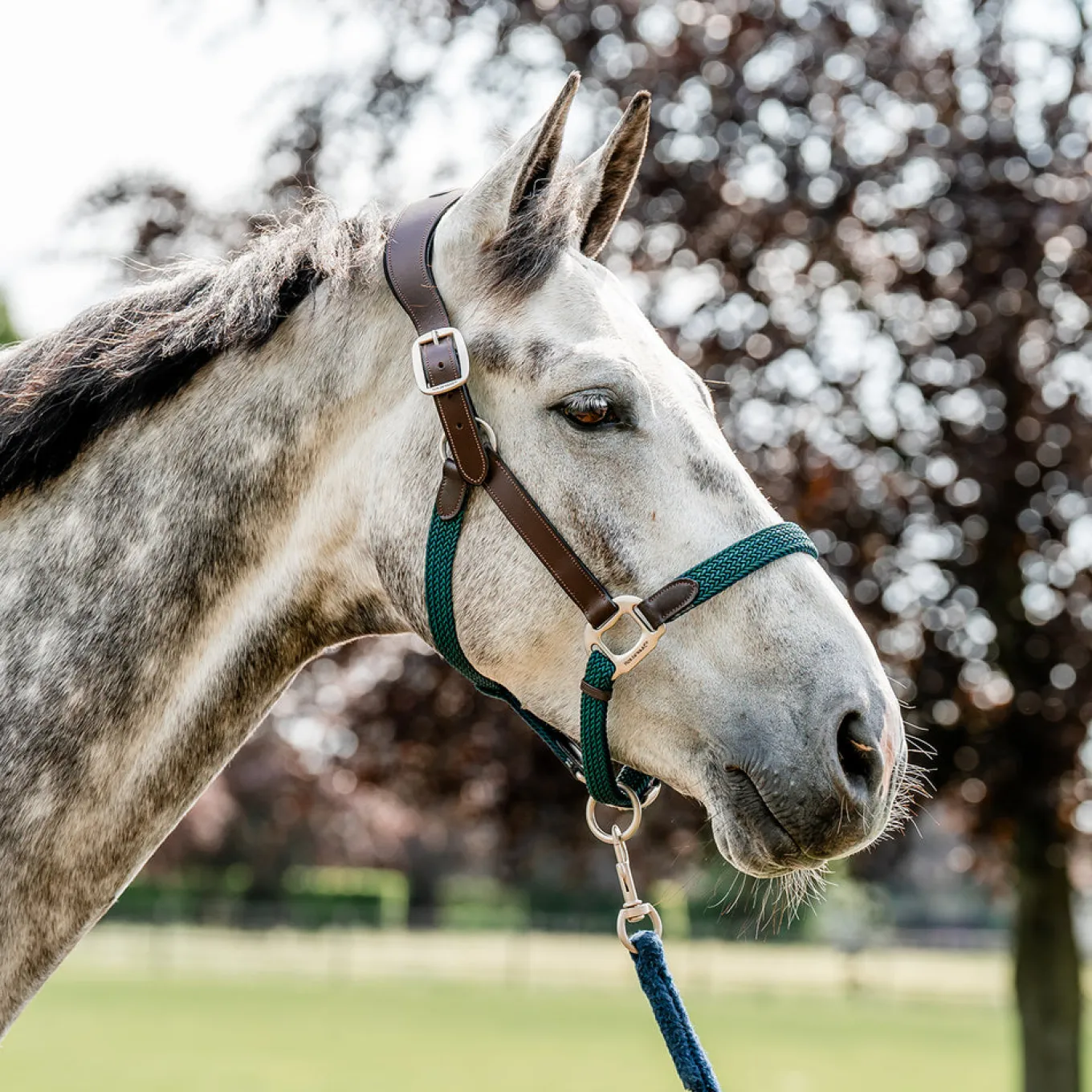 Horseware Signature Braided Breakaway Halter