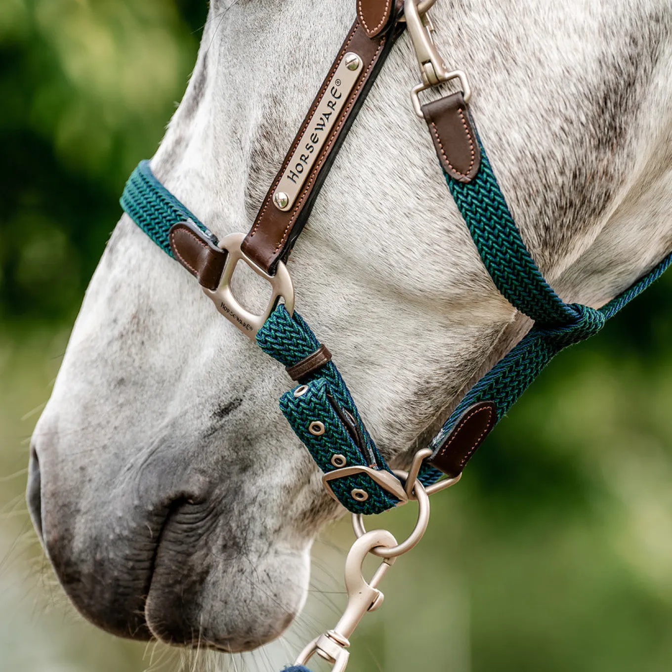 Horseware Signature Braided Breakaway Halter