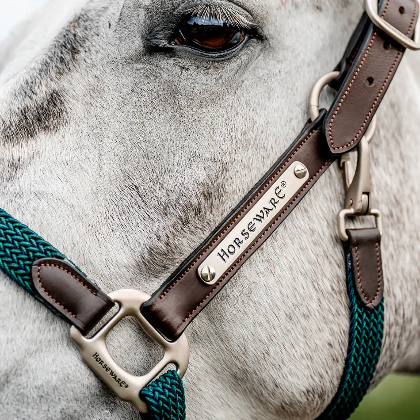 Horseware Signature Braided Breakaway Halter