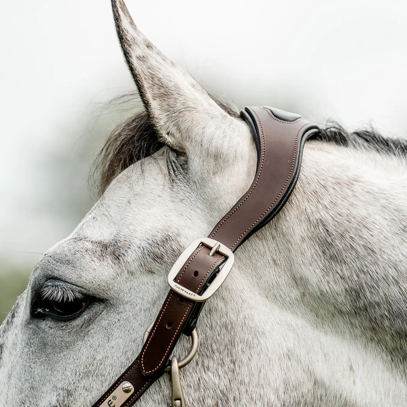 Horseware Signature Braided Breakaway Halter