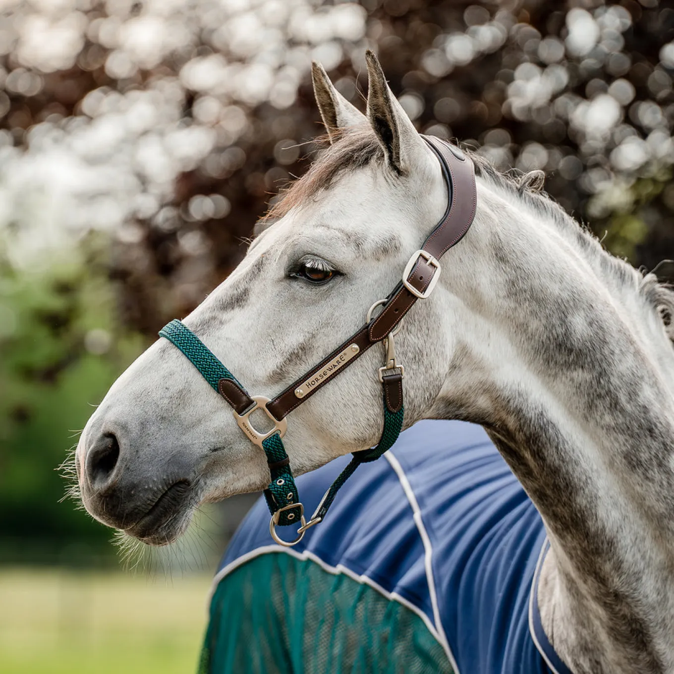 Horseware Signature Braided Breakaway Halter