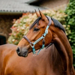 Horseware Signature Competition Halter
