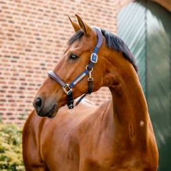 Horseware Signature Competition Halter