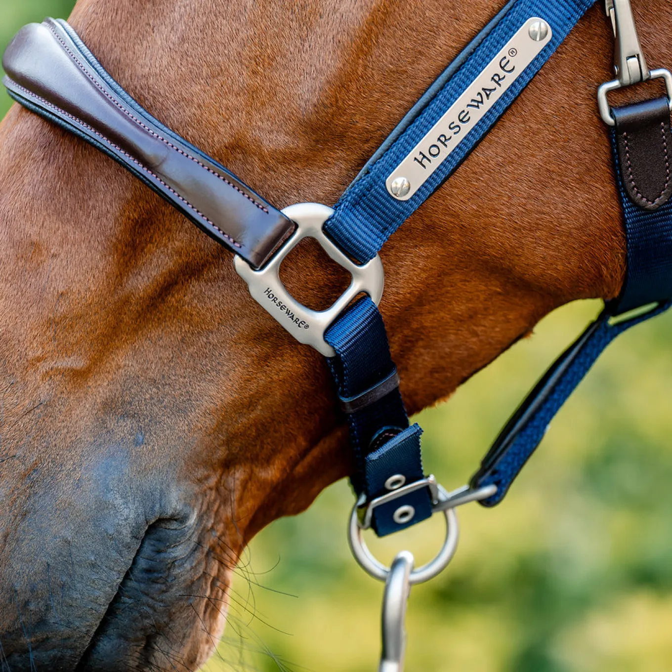 Horseware Signature Competition Halter