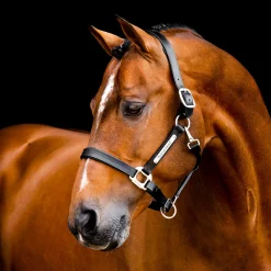 Horseware Signature Leather Halter