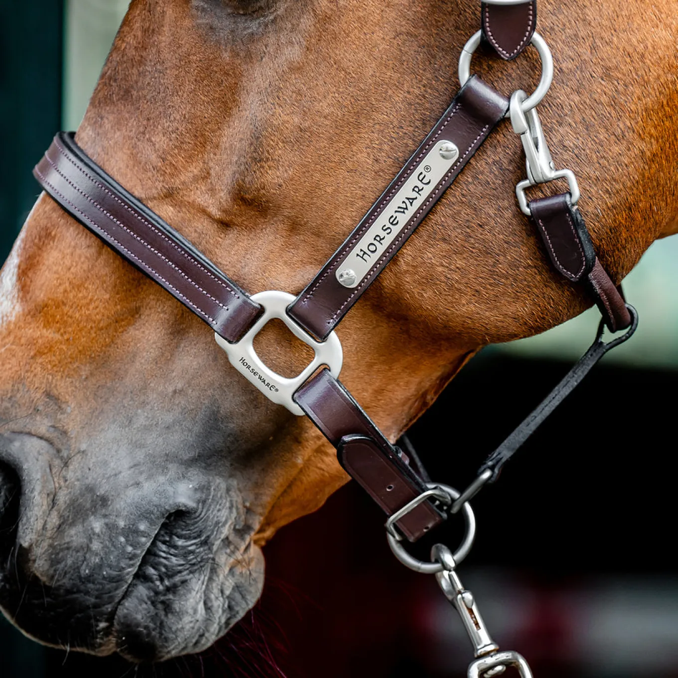 Horseware Signature Leather Halter