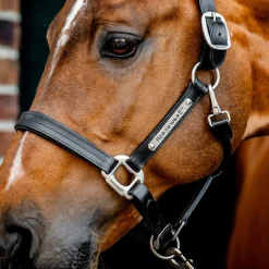 Horseware Signature Leather Halter