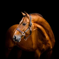 Horseware Signature Leather Halter