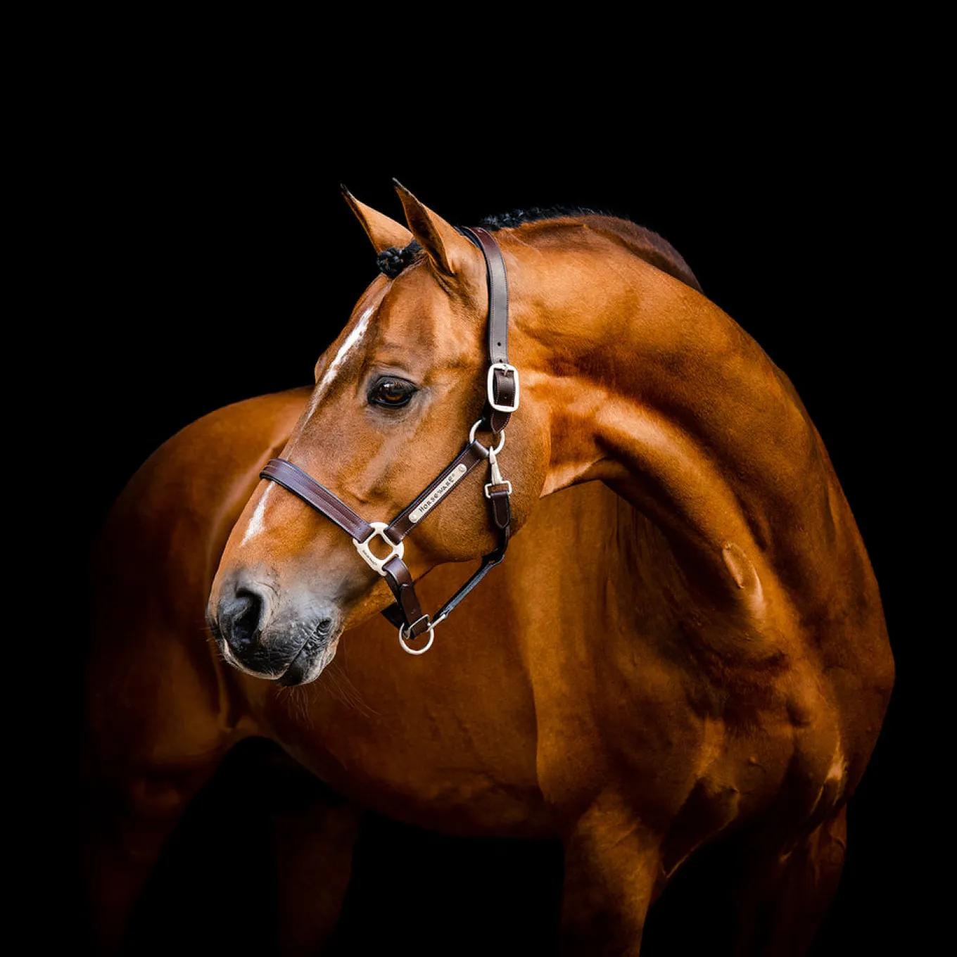 Horseware Signature Leather Halter