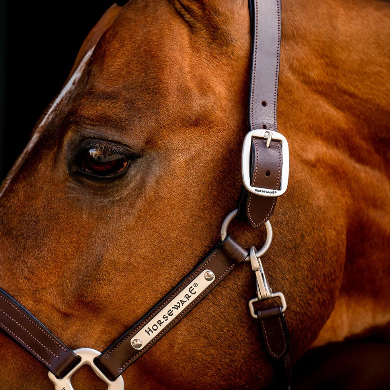 Horseware Signature Leather Halter
