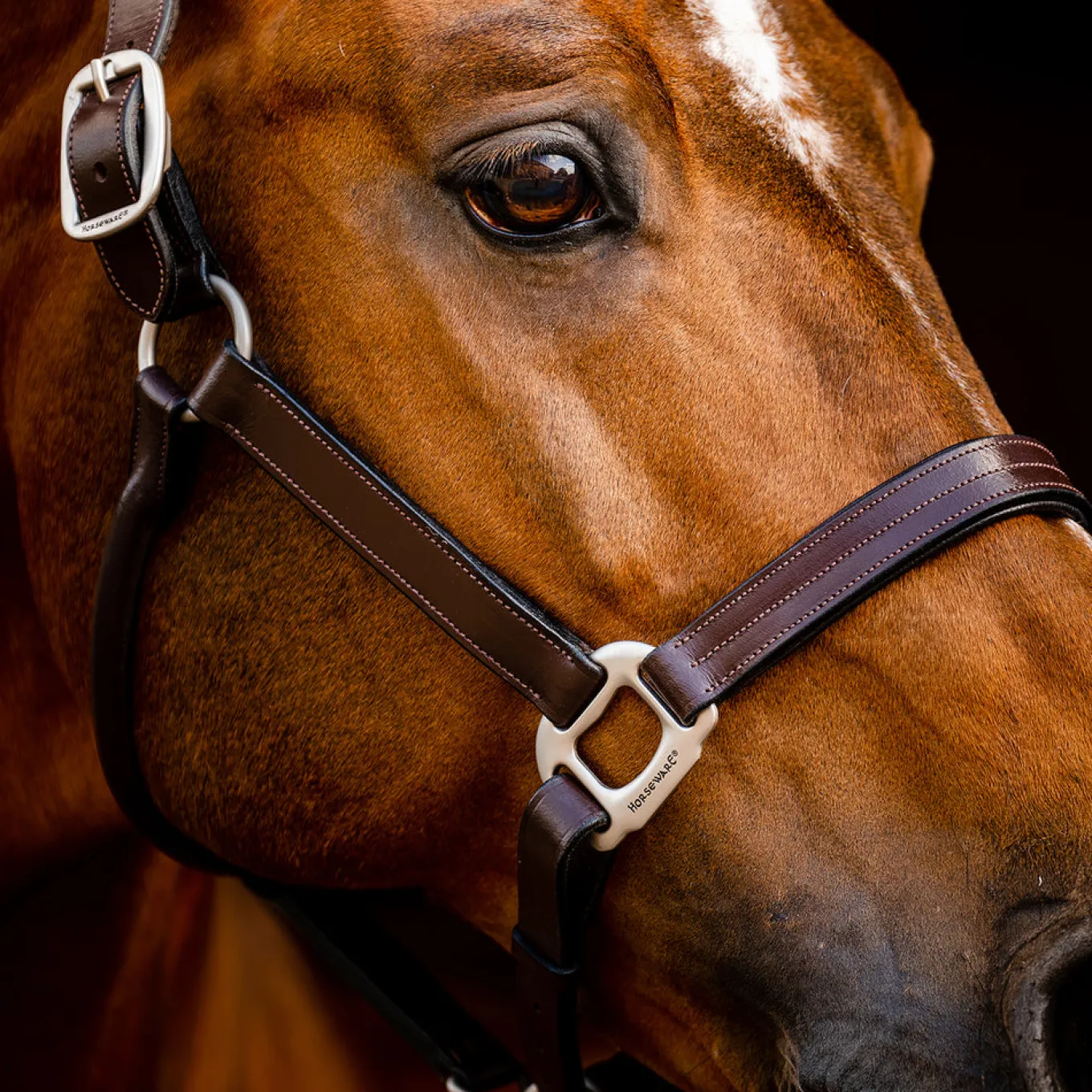 Horseware Signature Leather Halter
