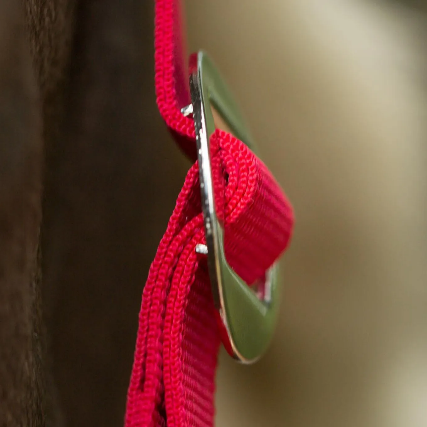 Horze Santa Halter