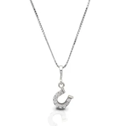 Kelly Herd Clear Dangle Horseshoe Necklace