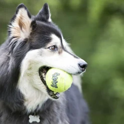 Kong Airdog SqueakAir Ball Extra Small - 3 Pack