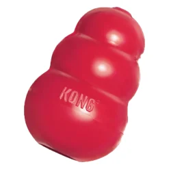 Kong Classic