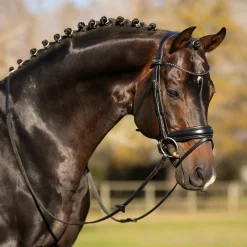 LeMieux Kudos Classic Dressage Bridle