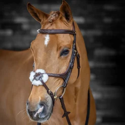 LeMieux Kudos Grackle Bridle