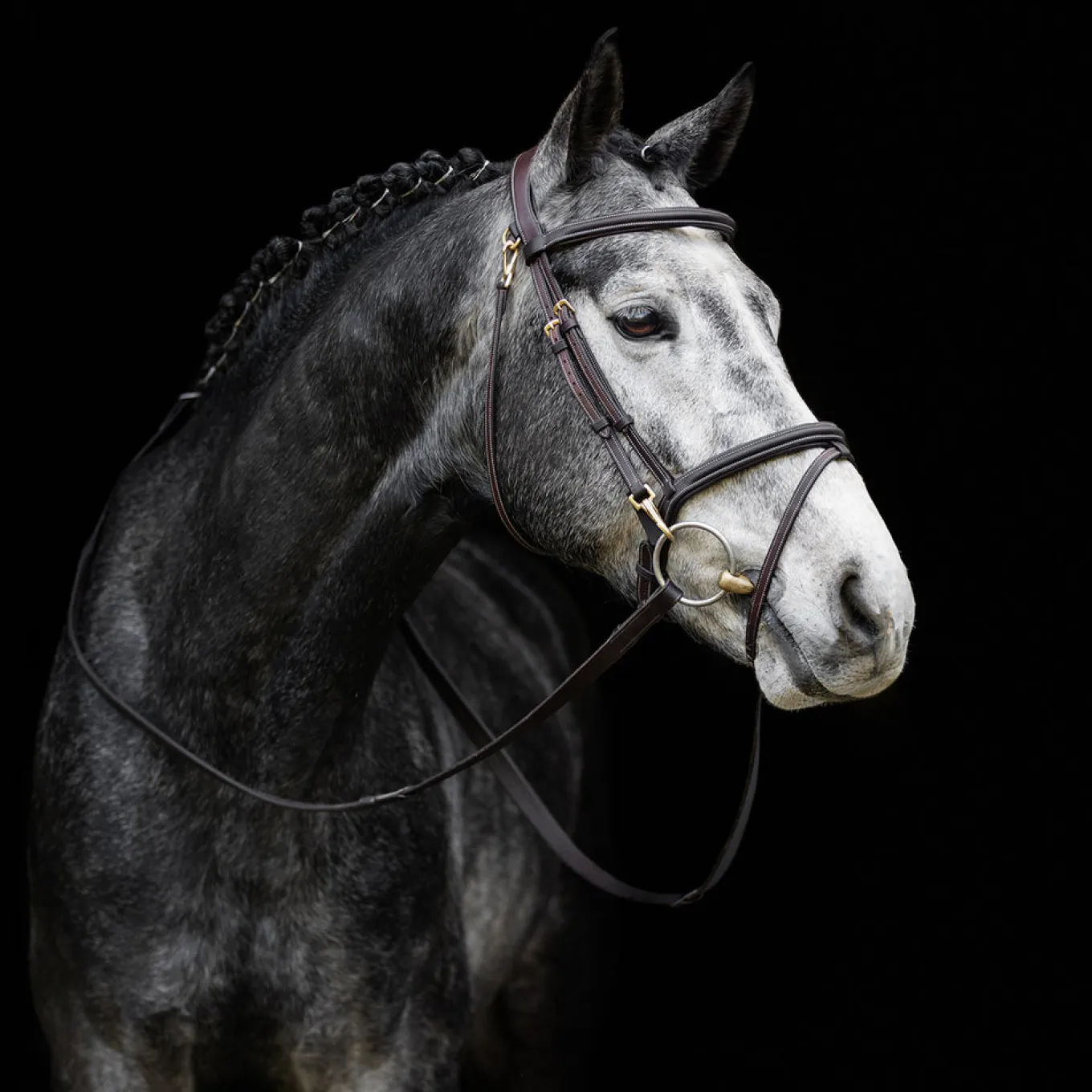 LeMieux Kudos Work Bridle