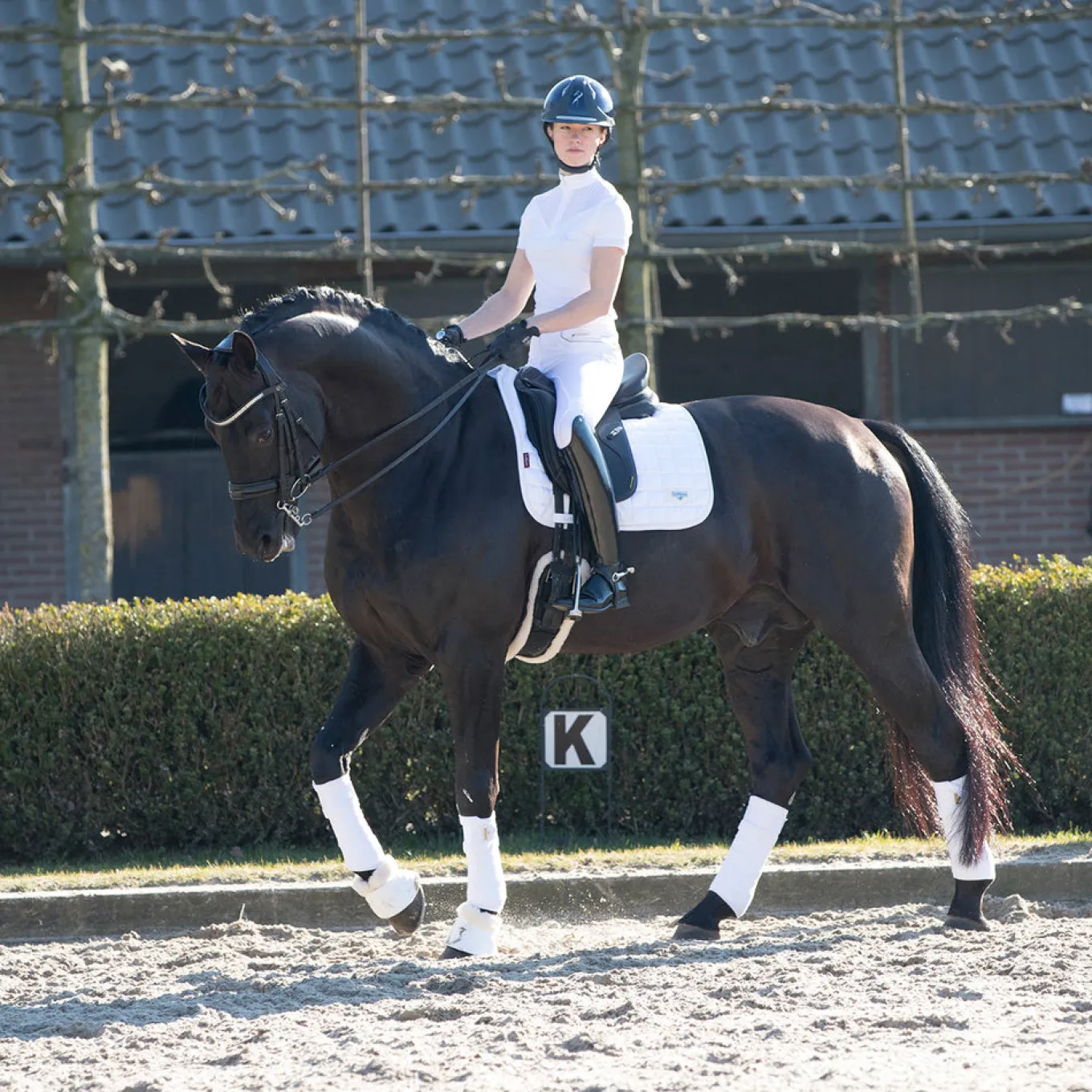 LeMieux Loire Classic Dressage Square Saddle Pad