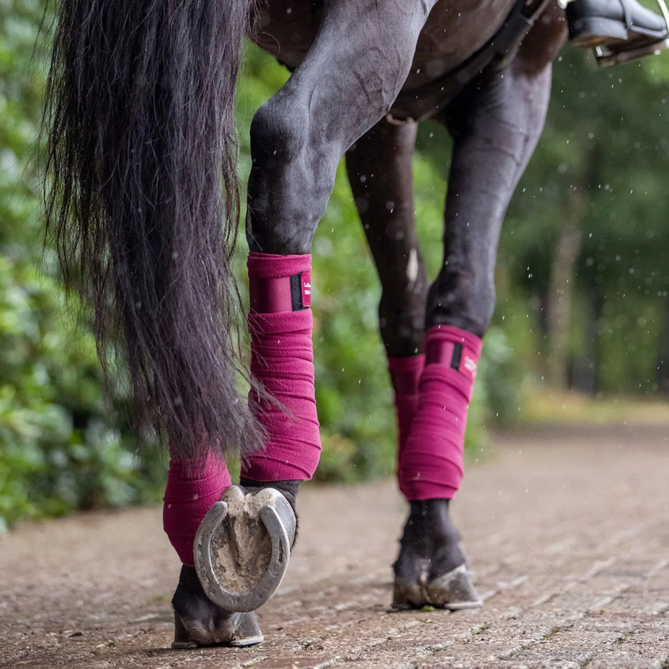 LeMieux Loire Polo Wraps