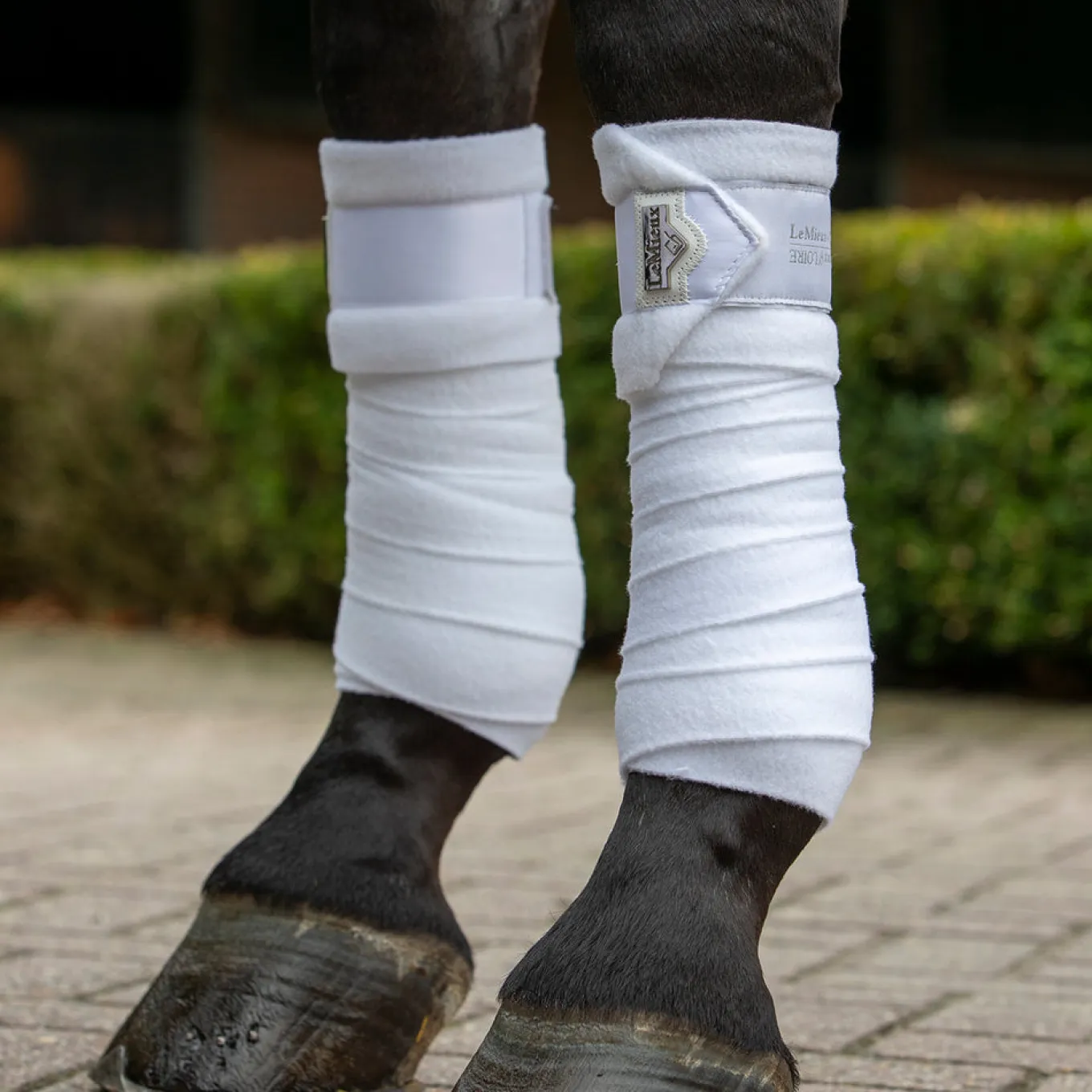 LeMieux Loire Polo Wraps