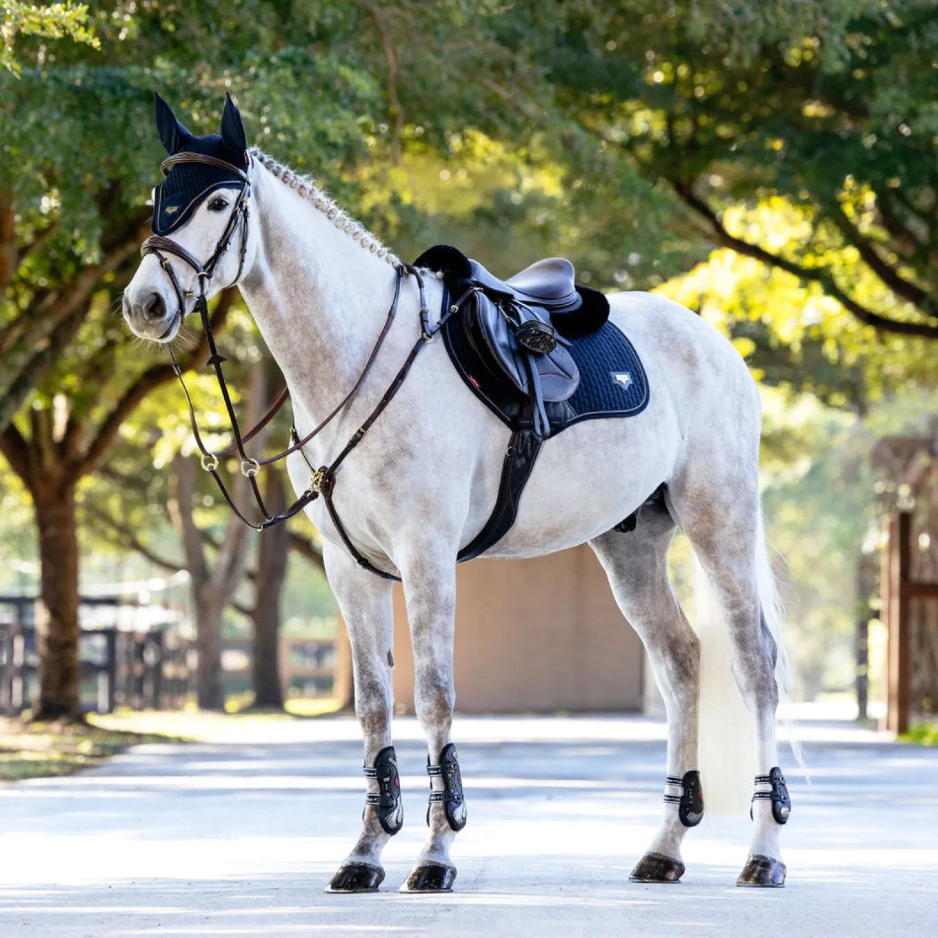 LeMieux Puissance Suede Close Contact Saddle Pad