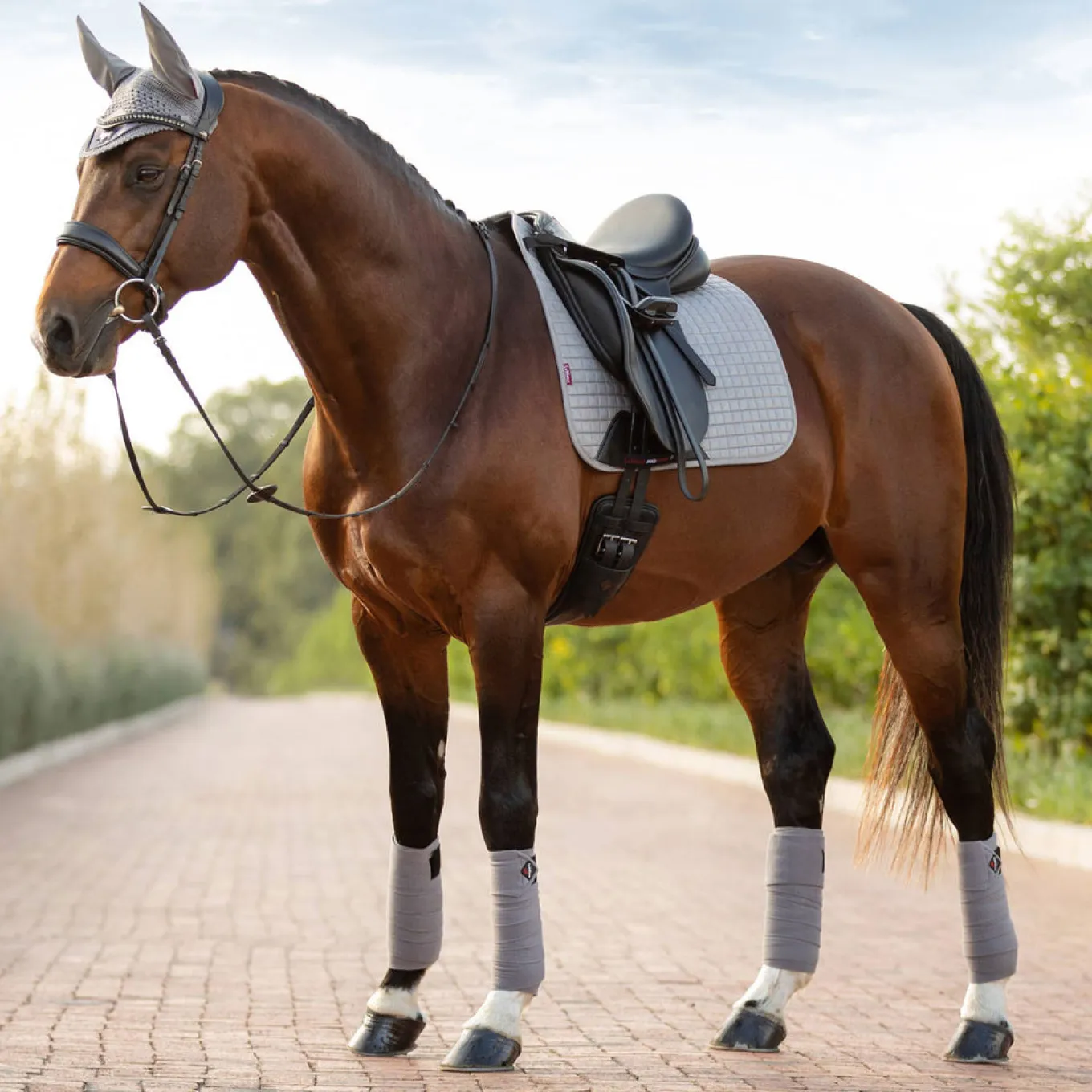 LeMieux Suede Dressage Square Saddle Pad