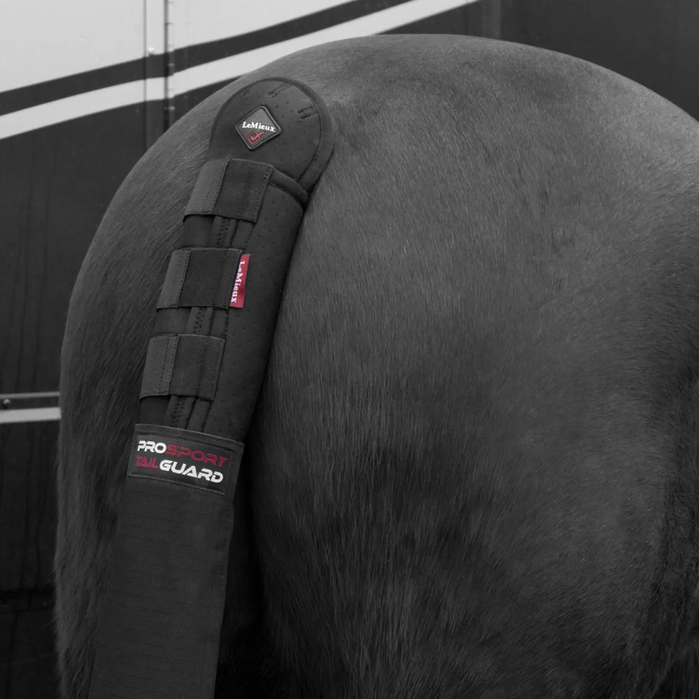 LeMieux Tail Guard W/ Bag