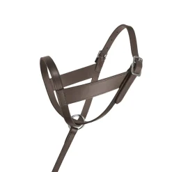 Lexington Foal Halter