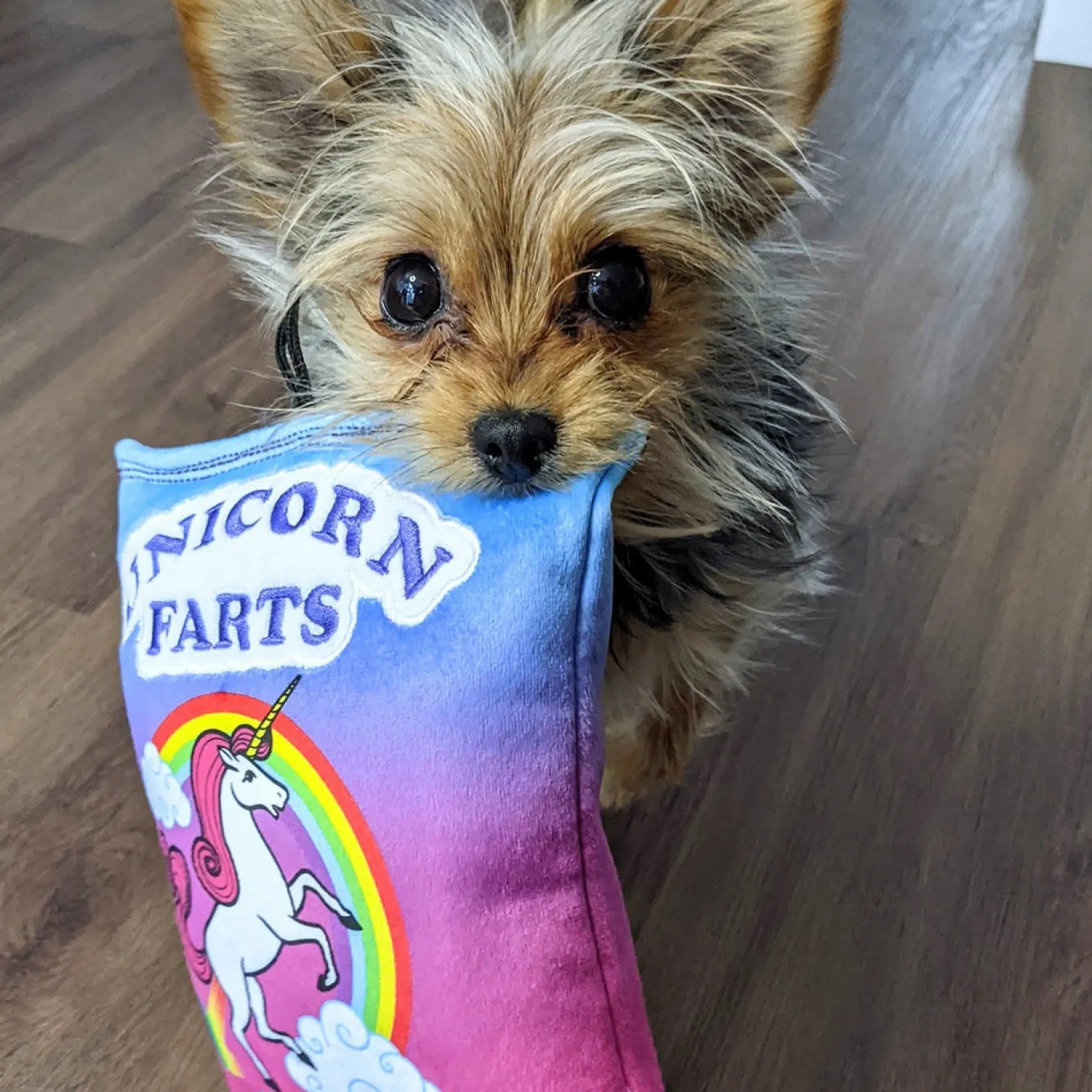 Lulubelles Power Plush Unicorn Farts Dog Toy
