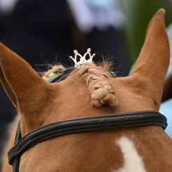 Luxy Charm Pointed Forelock Crown