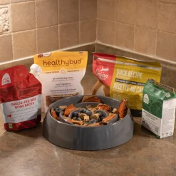 Messy Mutts Interactive Slow Feeder Dog Bowl