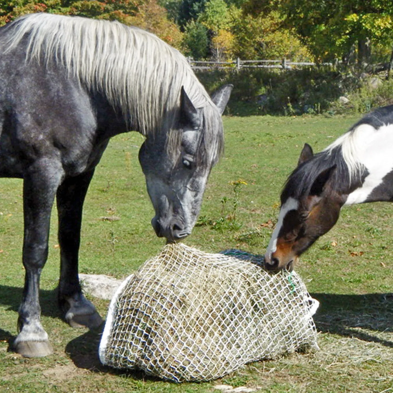 Mini Slow Bale Buddy
