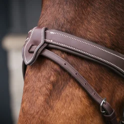 Mondega Bayeux Poll Relief Anatomical Bridle