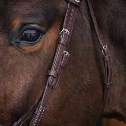 Mondega Bayeux Poll Relief Anatomical Bridle