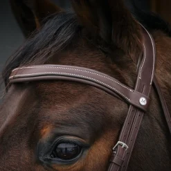 Mondega Bayeux Poll Relief Anatomical Bridle