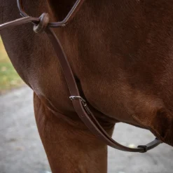 Mondega Carmaux Standing Martingale