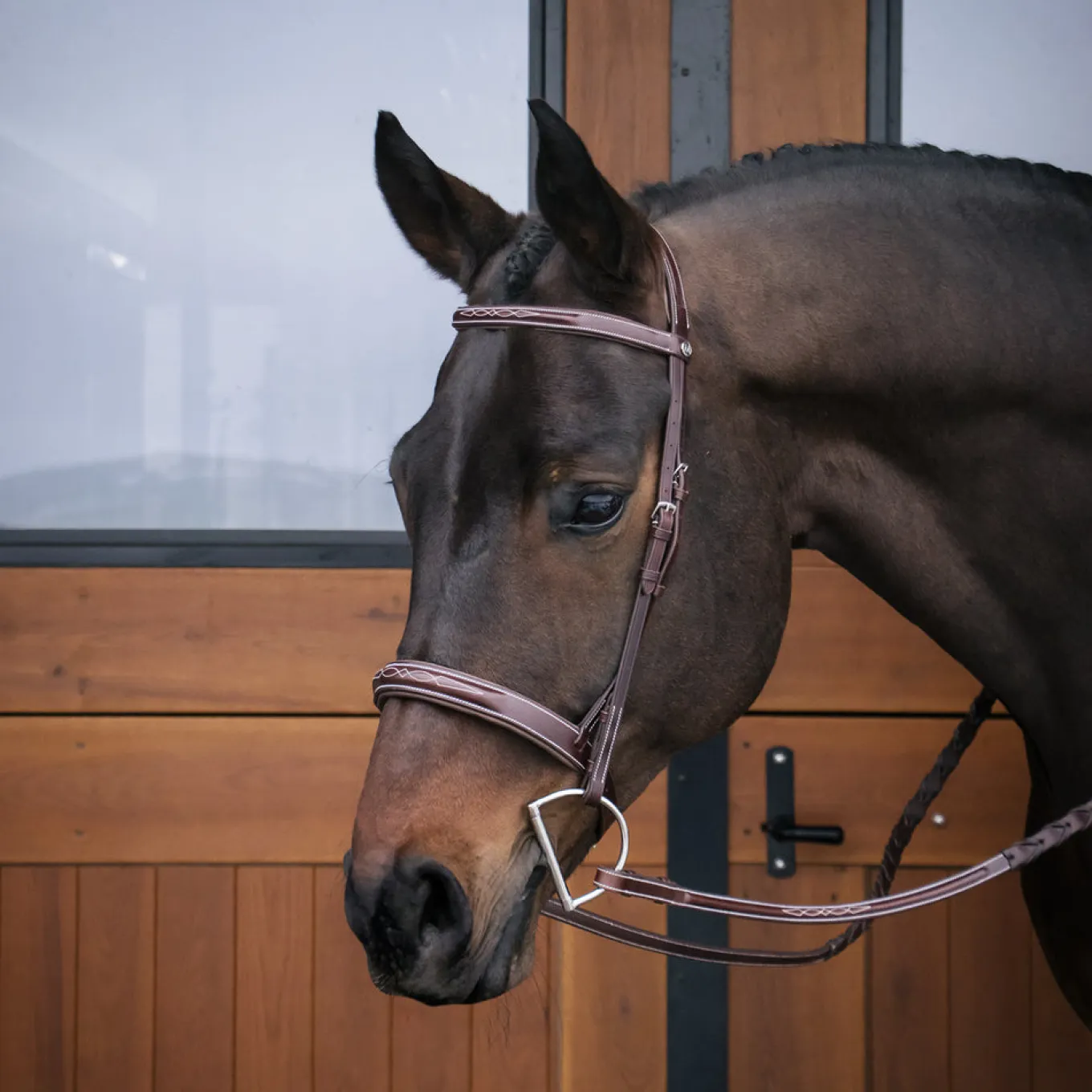 Mondega Coretto Wide Noseband Hunter Bridle