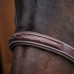 Mondega Coretto Wide Noseband Hunter Bridle