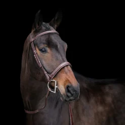 Mondega Gayo Classic Hunter Bridle