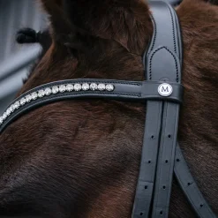 Mondega Laval Dressage Bridle