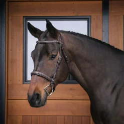Mondega Marocchino Hunter Bridle