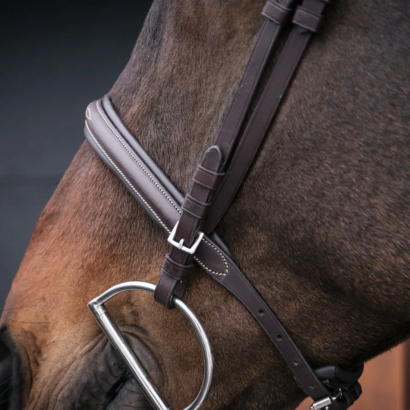Mondega Marocchino Hunter Bridle