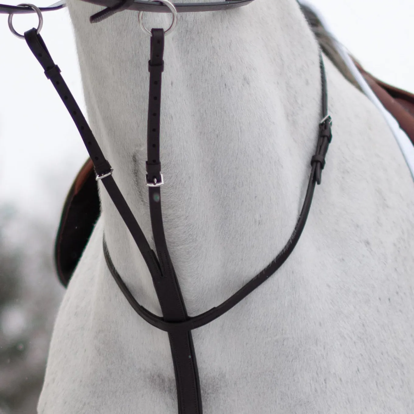 Mondega Running Martingale