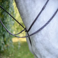 Mondega Standing Martingale